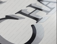 Champion Boat Logo Black/Silver Decals Set of 2 x 18"
